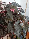 1000185951.webp
