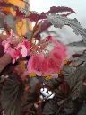 1000185952.webp