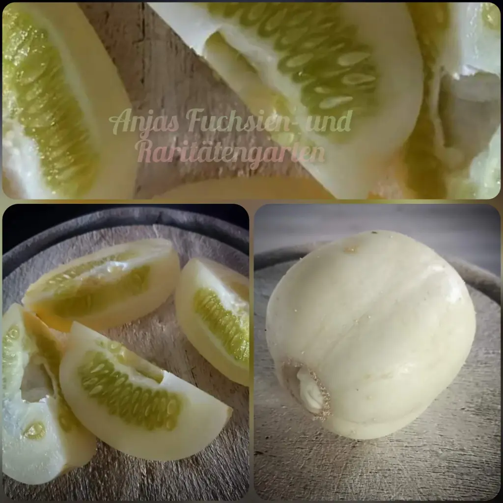 Kristallapfelgurke