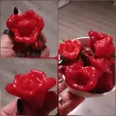 Chili 'Rosenchili'