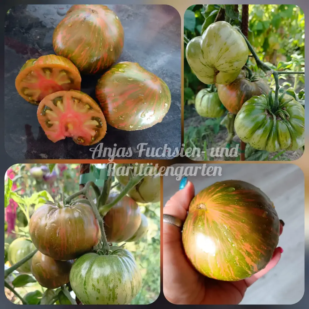 Tomate 'Suffer Well (Depeche Mode)'