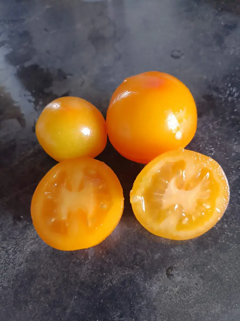 Tomate 'Pink Grapefruit'
