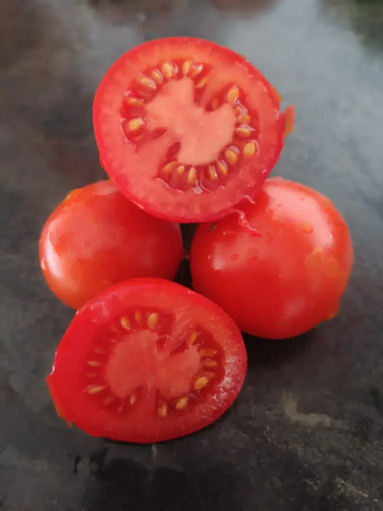 Tomate 'Iris'