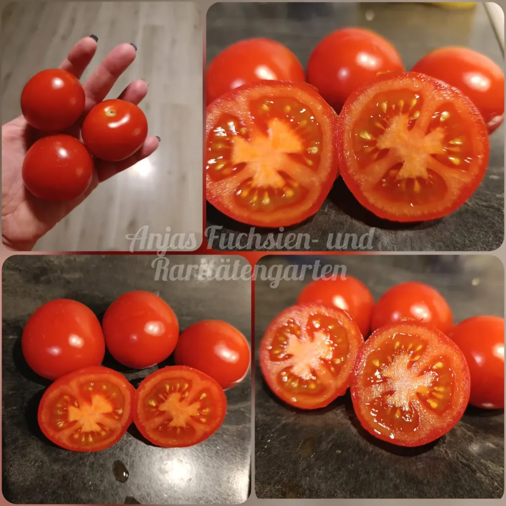 Tomate 'Edelrot'