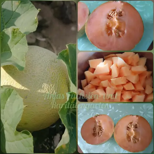 Anjas Murmelmelone