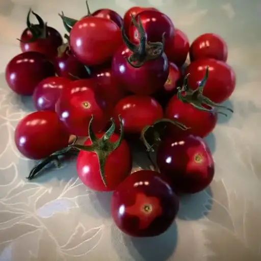 Tomate 'Anjas pinkes Sternchen'